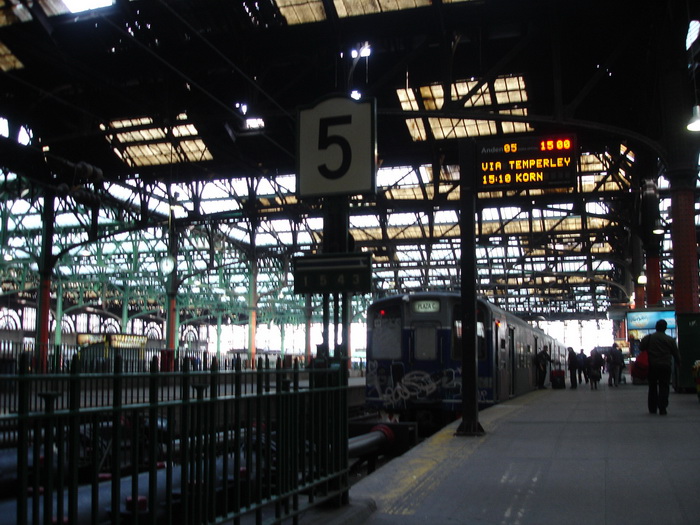 Rampla de trenes de la Estación de Constitucion