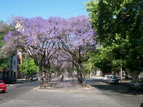 La Plata