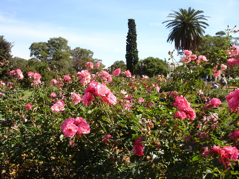 Palermo