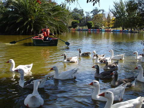 Palermo