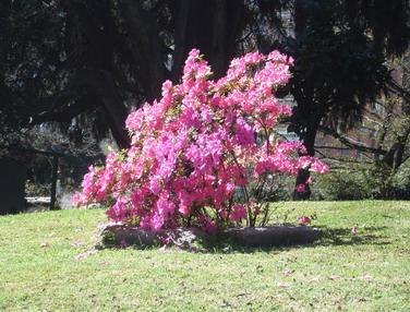 Palermo